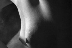 breasts